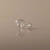 gradwandrung-duo-crystal-ear-cuffs-2 Duo Crystal Ear Cuffs - Gradwandrung
